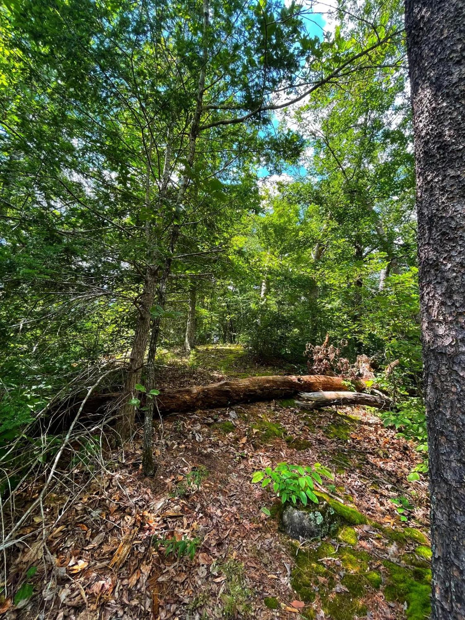 Villa Tiny House, Wifi,Hot Tub,Secluded Cosby Exterior foto